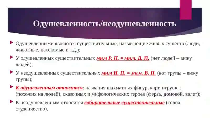 Имя существительное 4