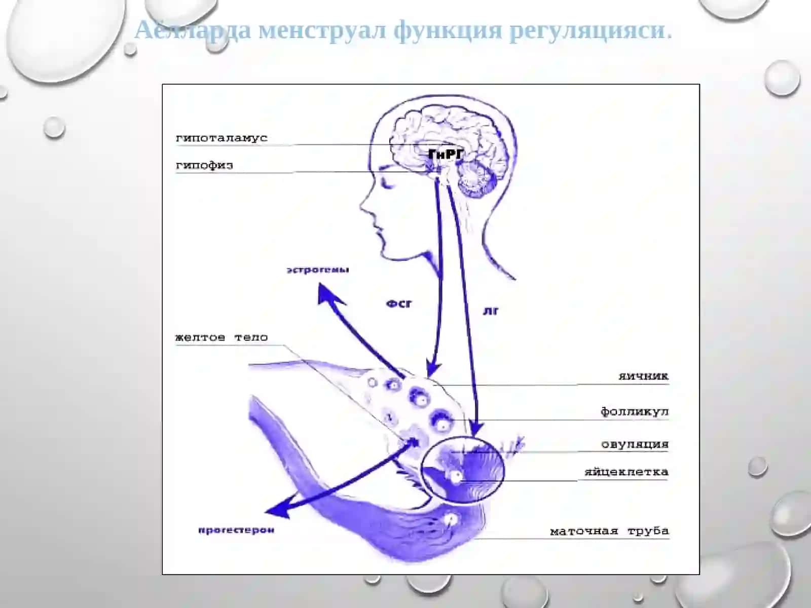 ХАЙЗ ЦИКЛИНИНГ БУЗИЛИШИ 4