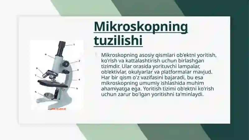 Mikroskopning tuzilishi va uning katalashtirishi 4