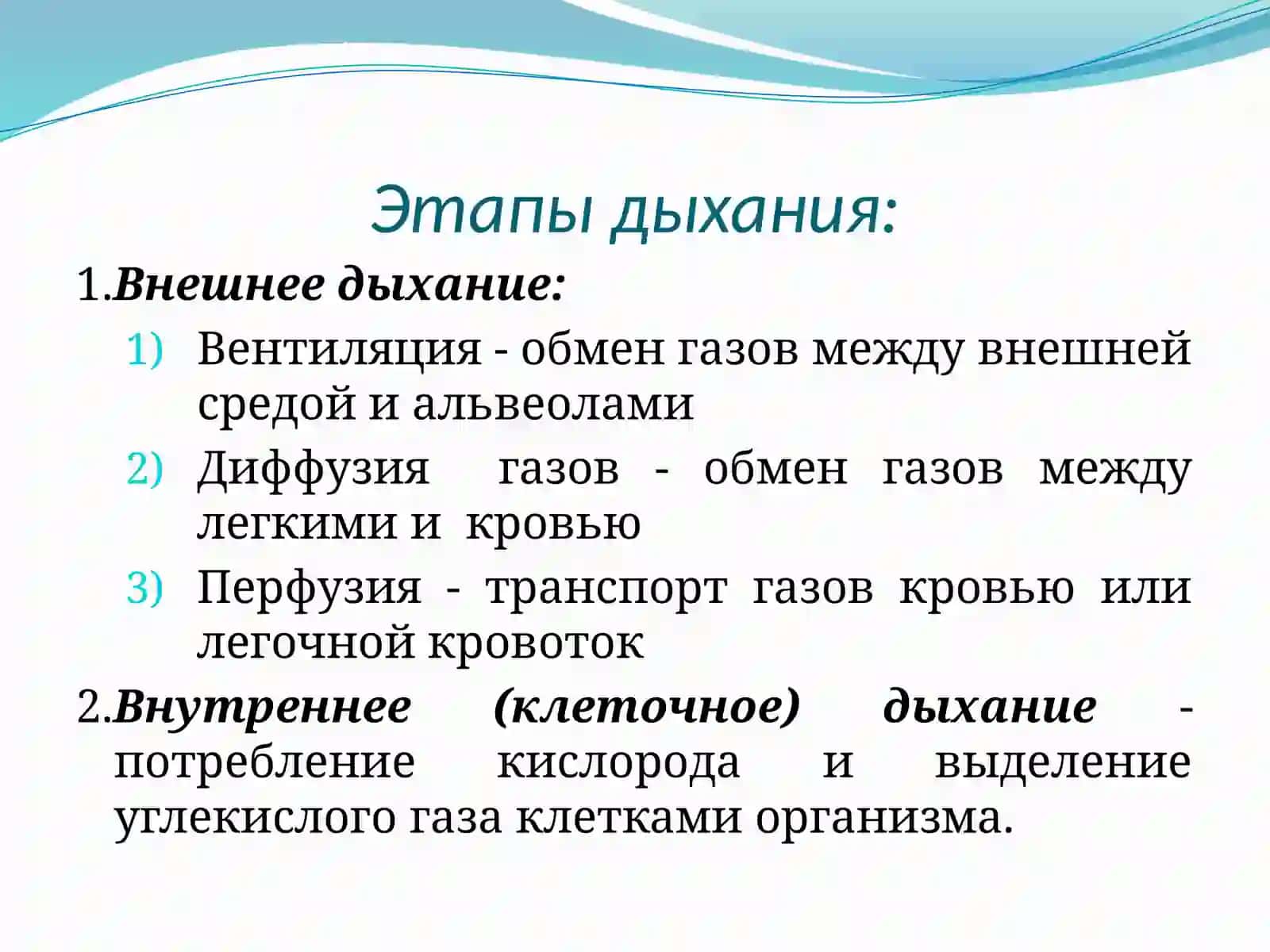 Патология внешнего дыхания 4