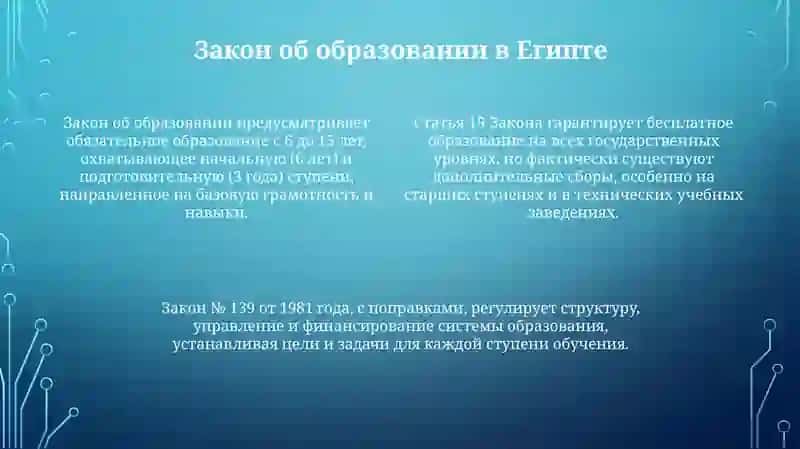Образование в Египте 4