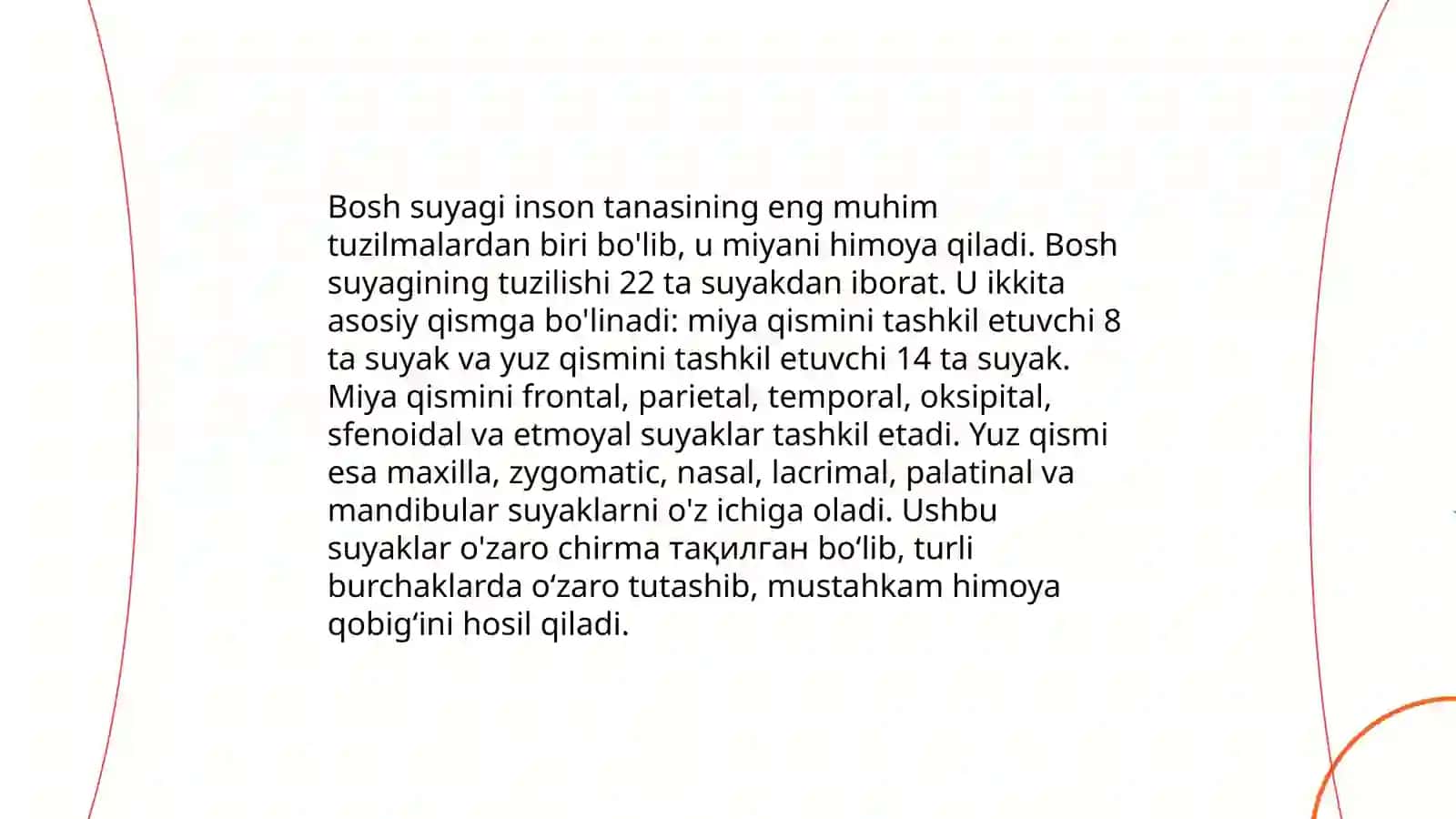 Bosh skeletining tuzilishi va o’zaro birikuvi 4