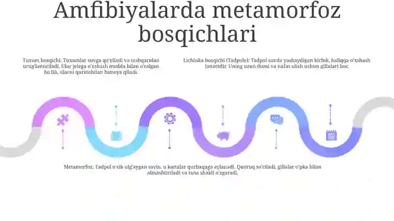 Amfibiyalarda Metamorfoz Hodisasi 4