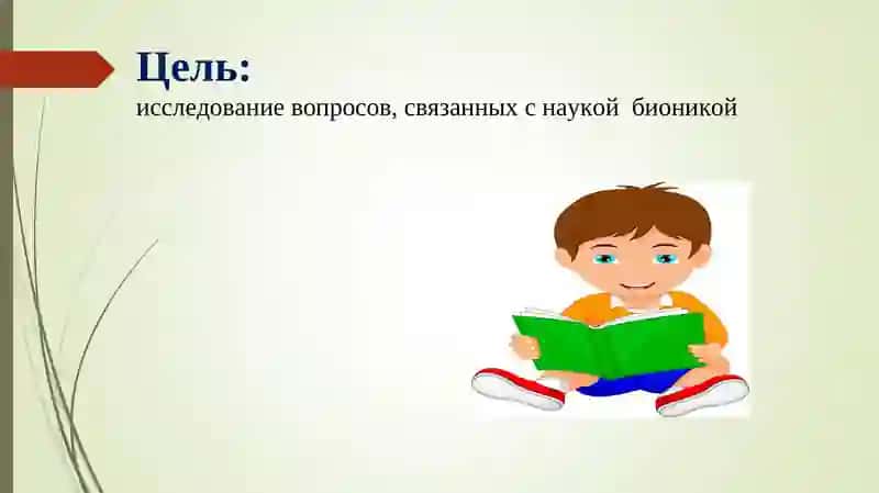 Основы бионики и ее роль в жизни человека 4