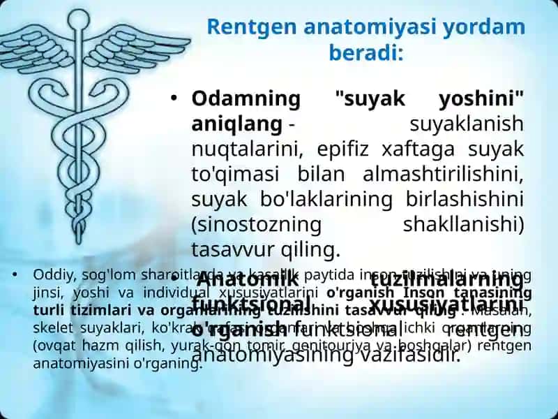 Oyoq panjasi suyaklarining rentgeno anatomiyasi 4
