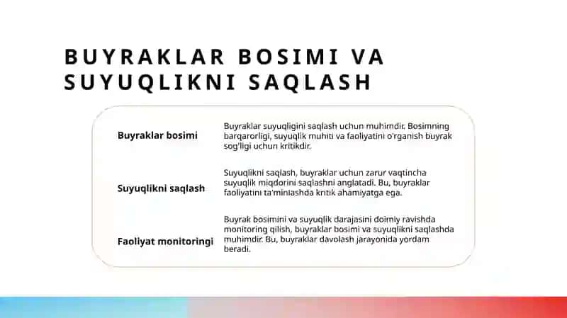 Buyraklar bosimi 4