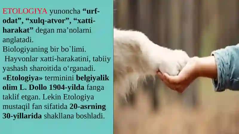 Etologiya va ijtimoiy biologiya 4