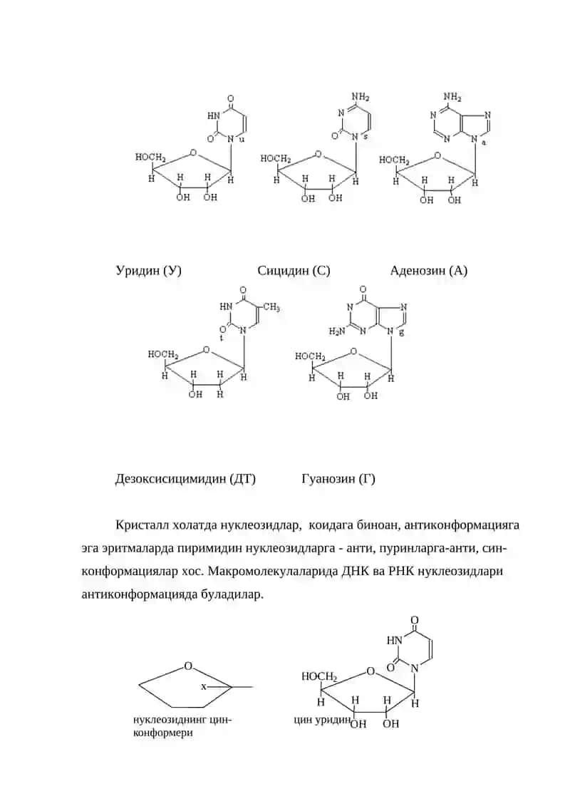 НУКЛЕОТИДЛАР АЛМАШУНИВИ 4