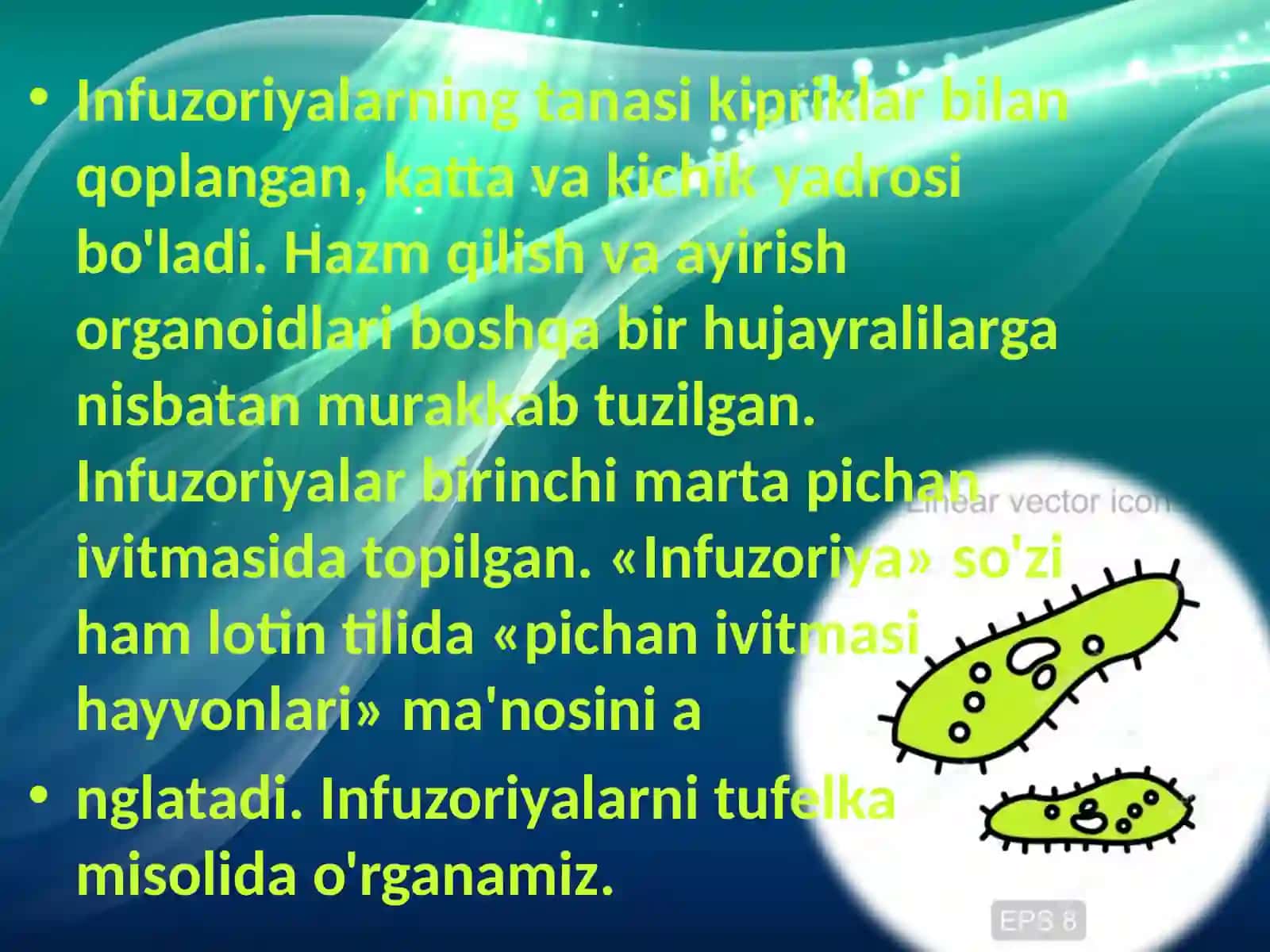 Infuzoriyalar va Sporalilar Sinflari 4