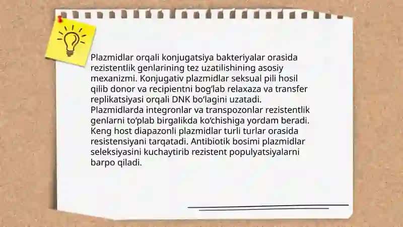 Bakteriyalarning antibitiklarga chidamli shakllarini paydo bo'lish mexanizmlari 4