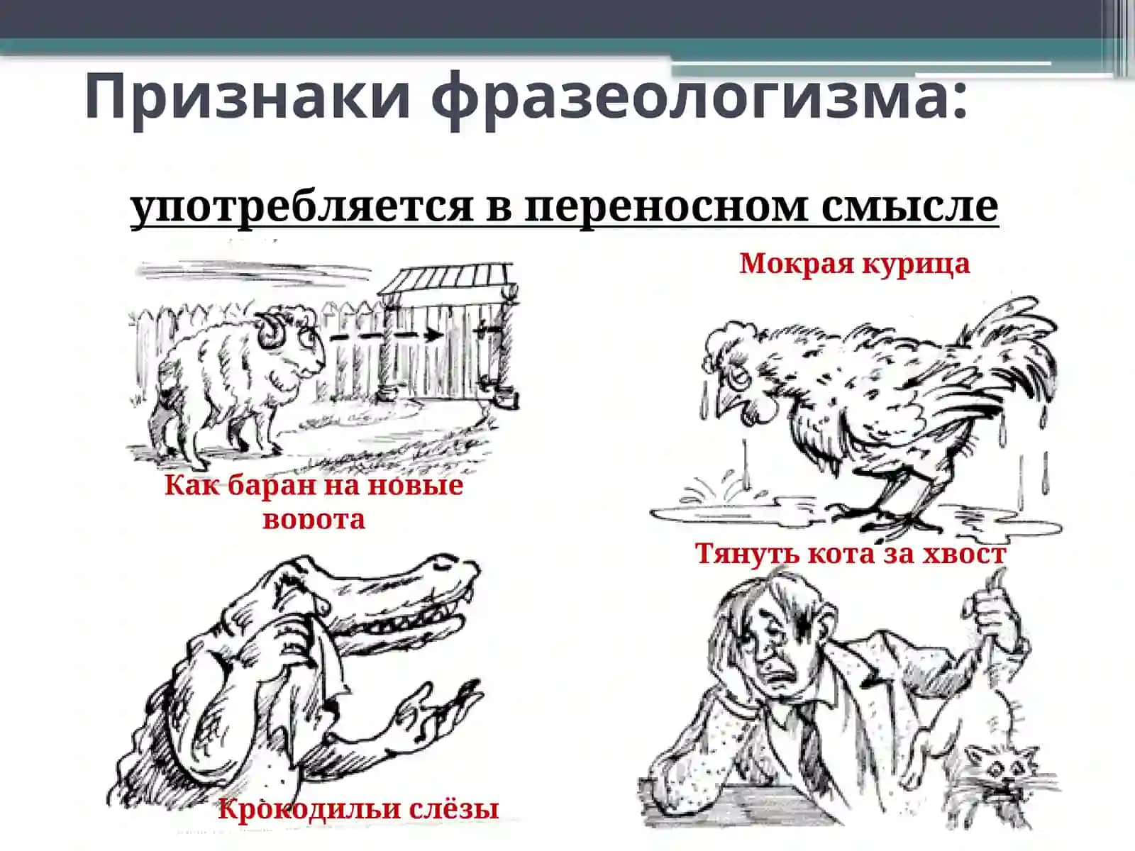 Фразеологизмы 4