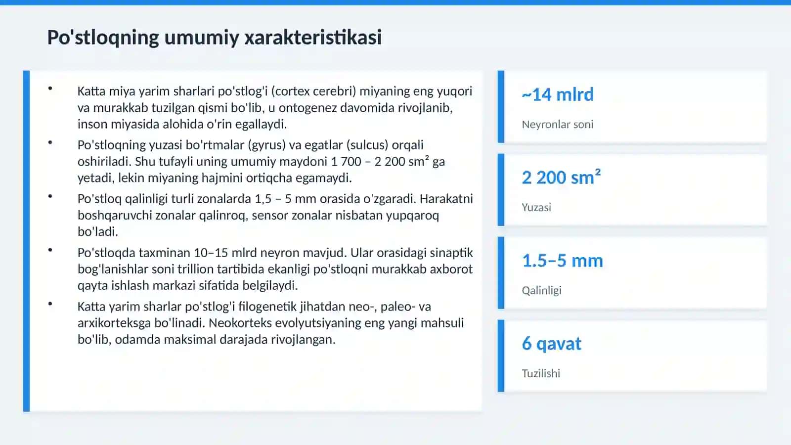 Katta yarimsharlar po'stlog'ining fiziologiyasi 4