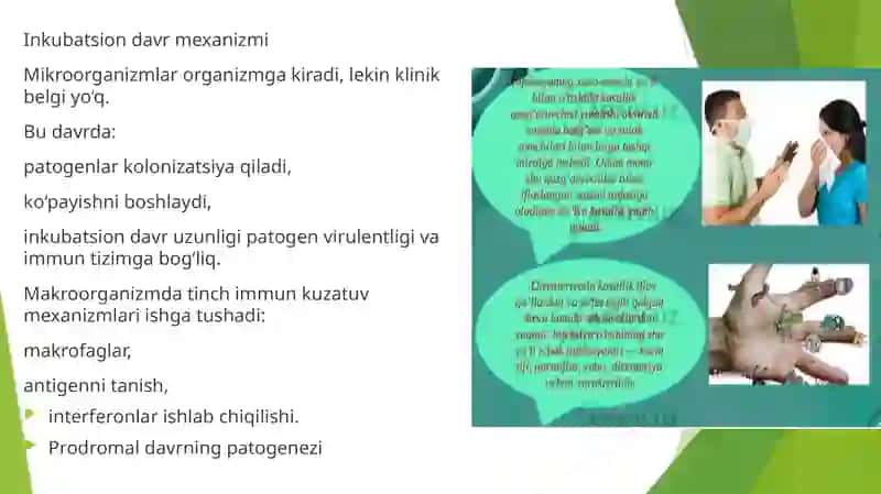 Umumiy infeksiya jarayon haqida tushuncha 4