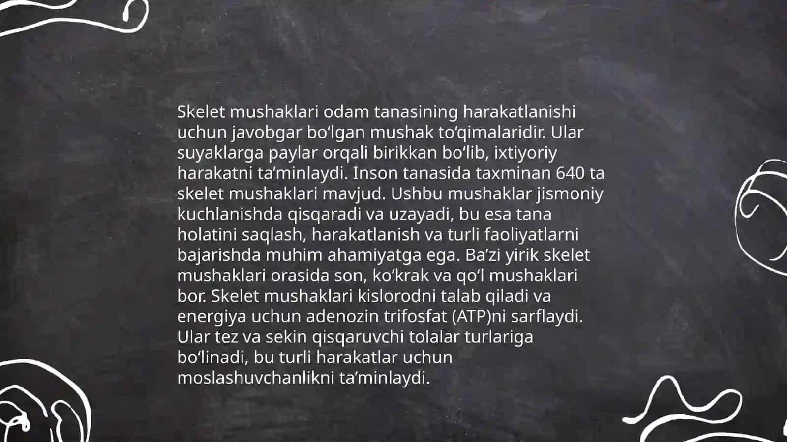 Mushak tizimi 4