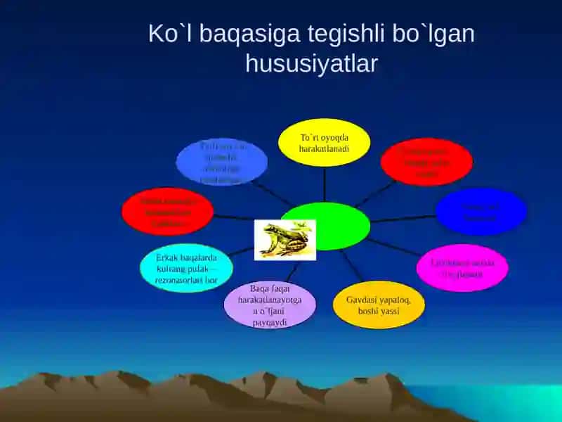 Suvda hamda quruqlikda yashovchilar sinfi 4