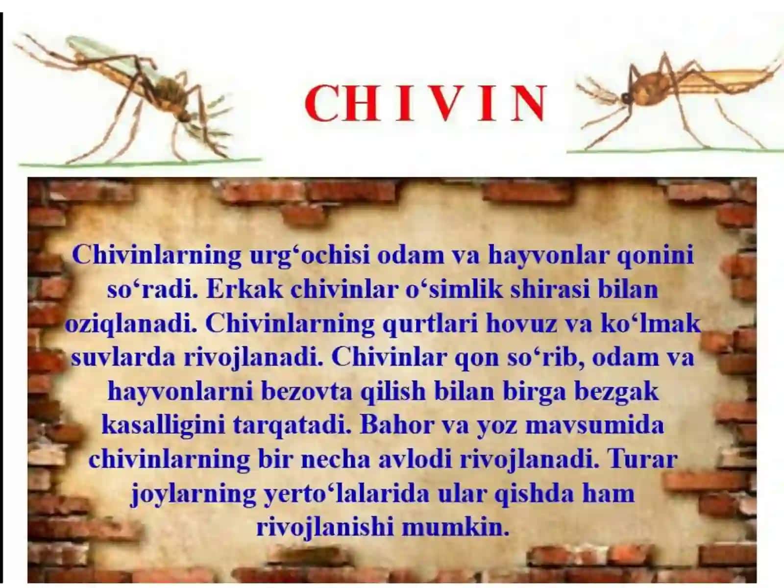Ikkiqanotlilar 4