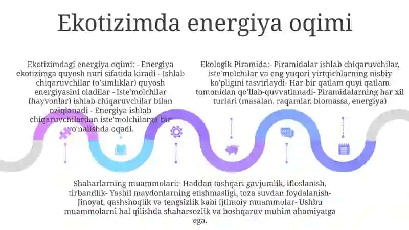 Ekologik Piramida Va Shaharlarning Muammolari 4