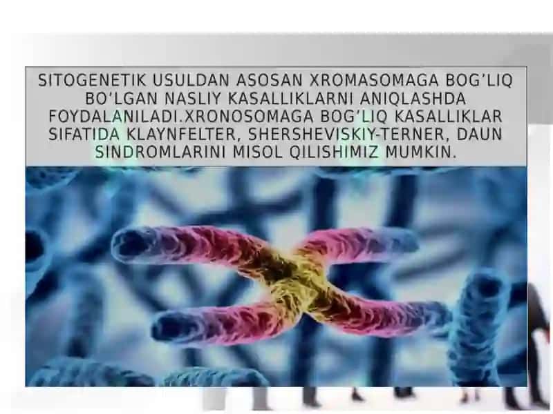 Odam genetikasini oʻrganish usullari 4
