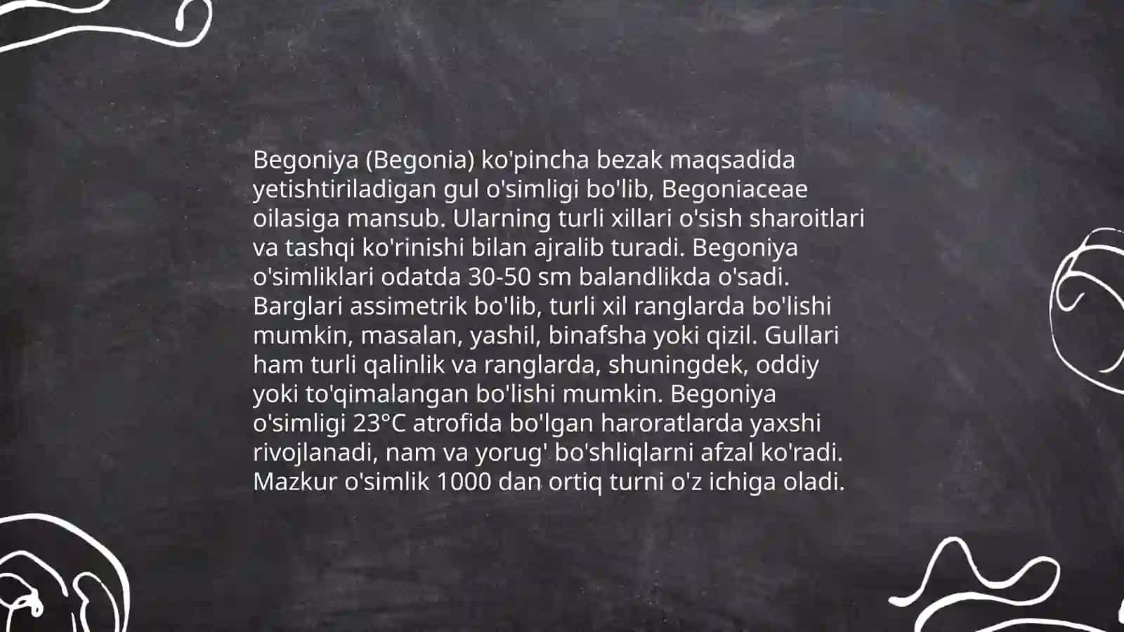 Begoniya o'simligi haqida ma'lumot 4
