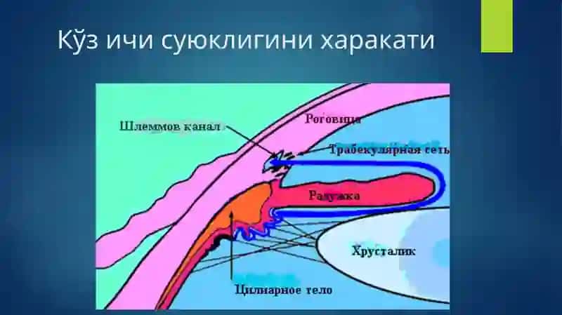 КЎЗ ИЧКИ БОСИМИ ПАТОЛОГИЯСИ 4