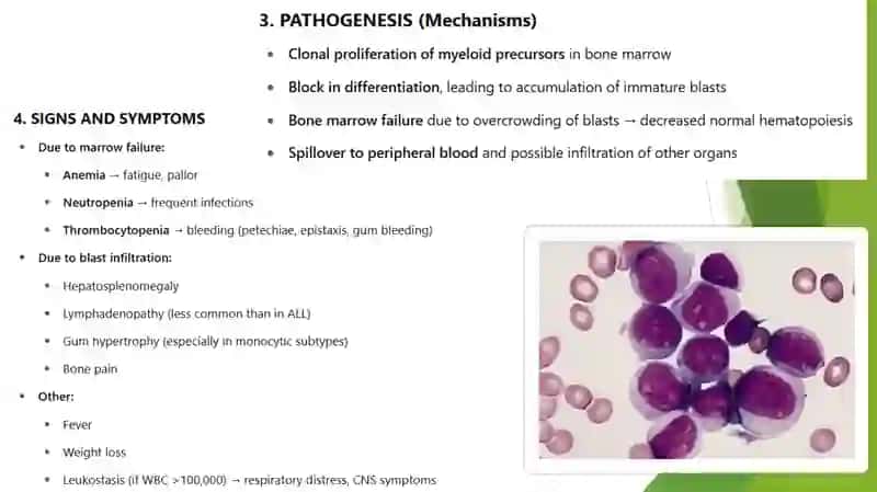 LEUCOSES TYPES,ETIOLOGIES, MECHANISMS AND SIGNS-SYMPTOMS 4