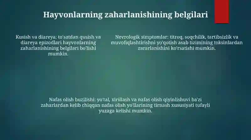 Zaharli Hayvonlar 4