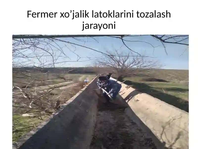 Tadbirkor Dilshodbekdalasi 4