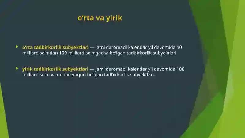 Biznes subyektlariga soliq solish 4
