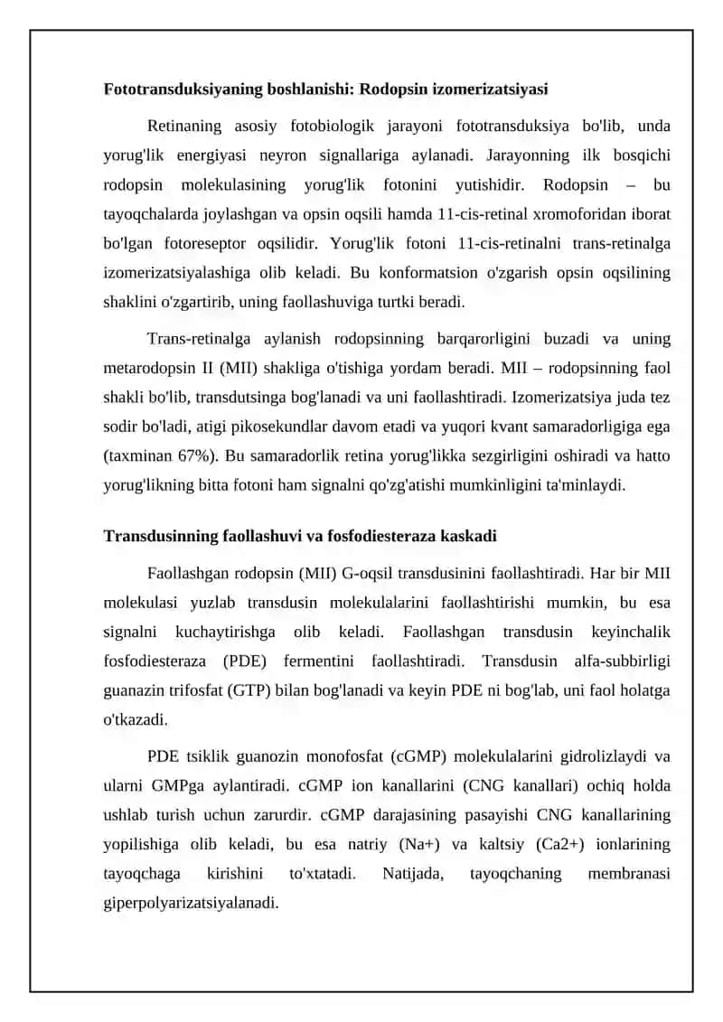 Ko'zning to'r pardasida ketadigan fitobiologik jarayonlar 4
