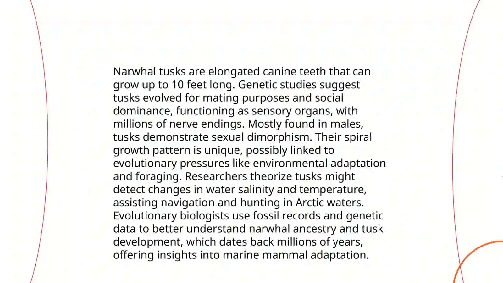 Narwhal tusk 4