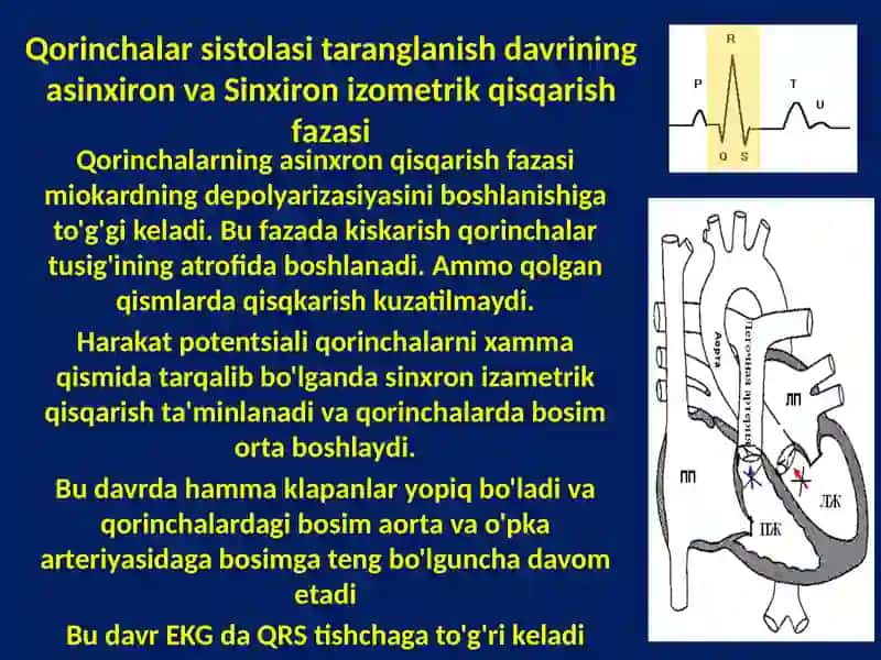 YURAK NASOS FAOLIYATINING FIZIOLOGIYASI 4
