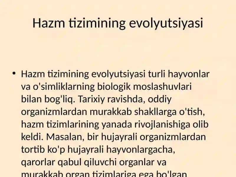 Hazm tizimi onto filogenezi 4