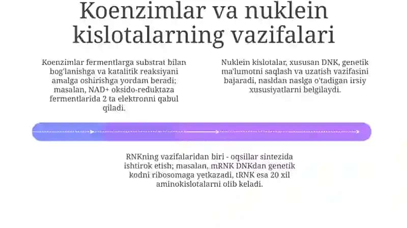 Kofermentlar va nuklen kislotalarning tuzulishi 4