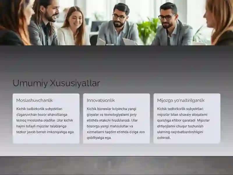 Kichik Tadbirkorlik Subyektlari: Umumiy Ko‘rinish 4