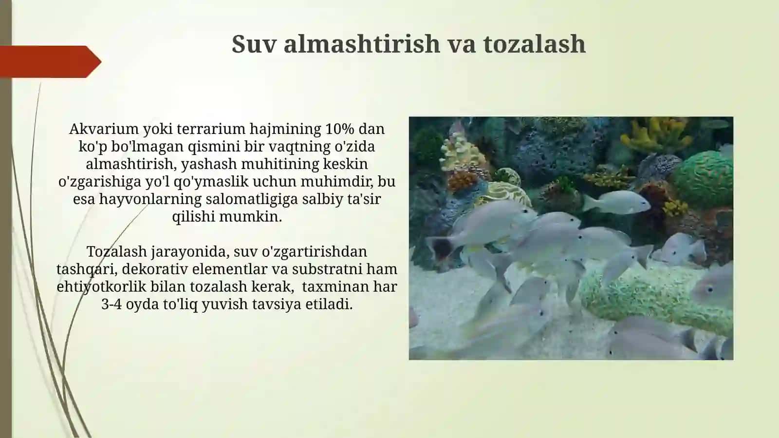 Akvarium va Terrarium Hayvonlarini Parvarish Shartlarini O'rganish 4