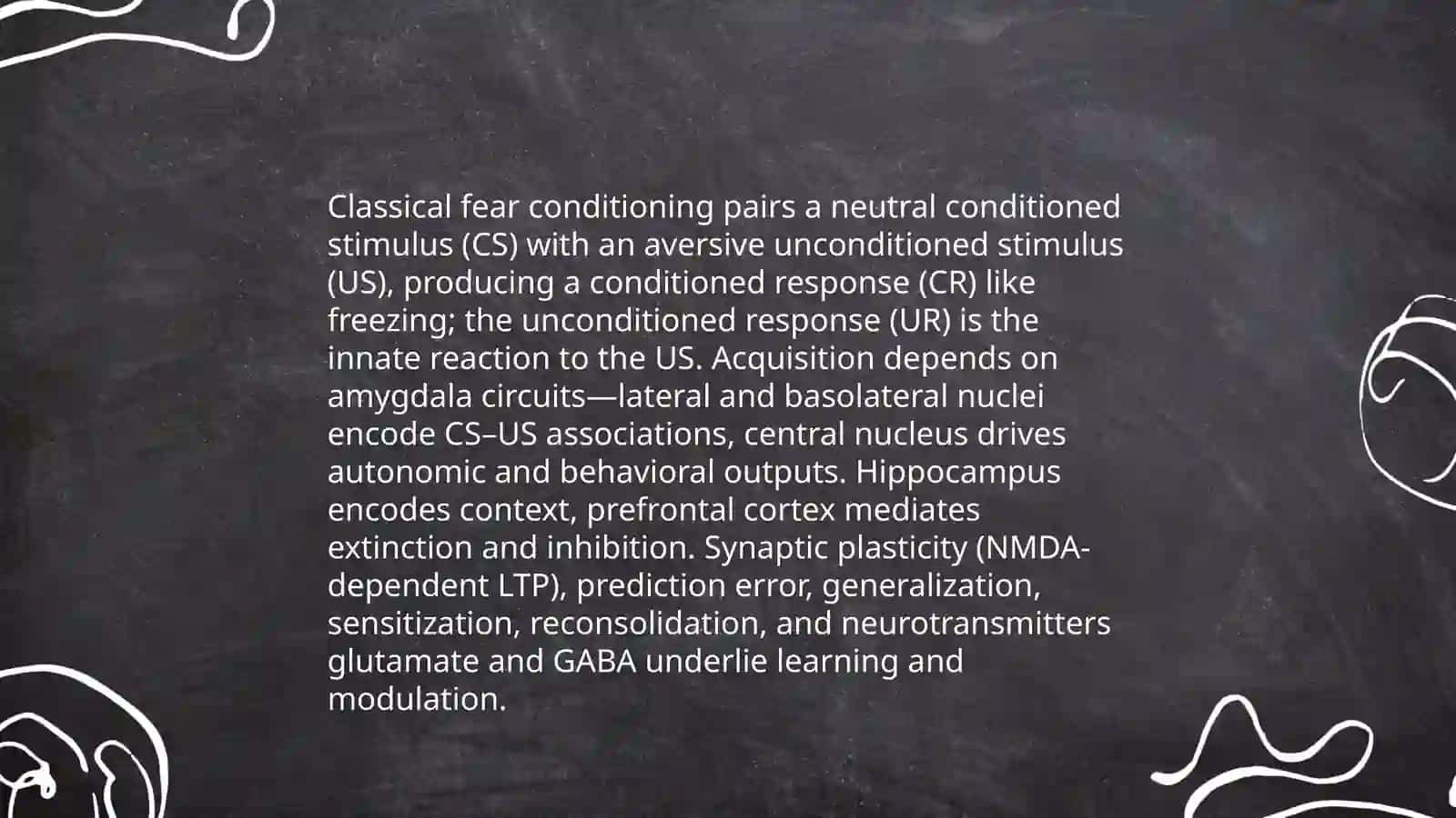 Neural Circuits of Fear 4