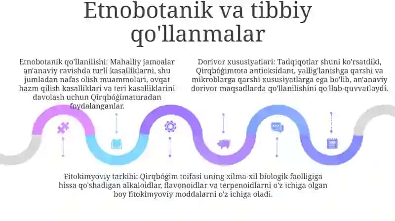 Oliy o‘simliklar kafedrasi 4