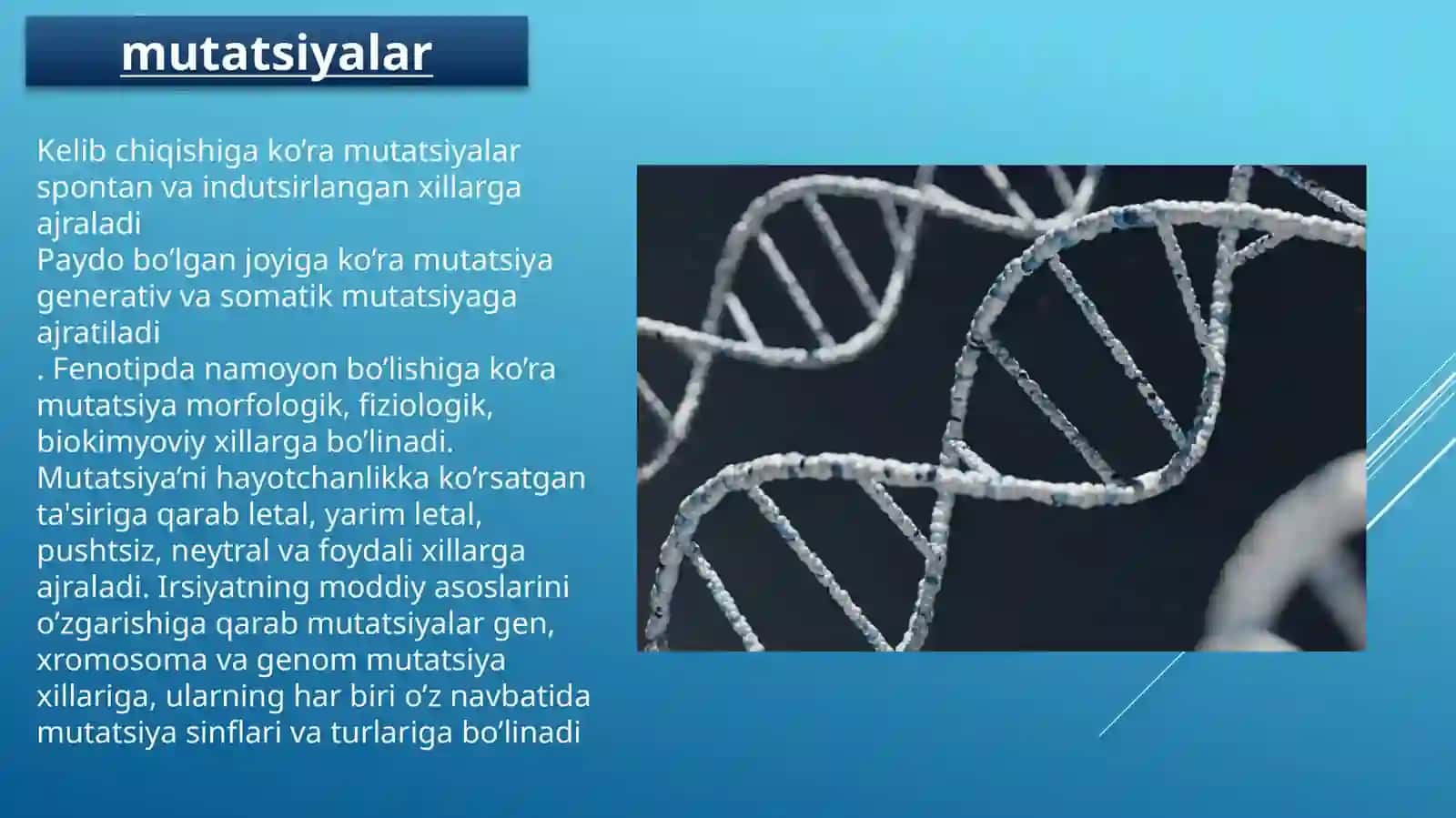 Gen mutatsiyalarining evolyutsion ahamiyati 4