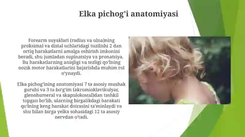 Bilak suyaklari 4