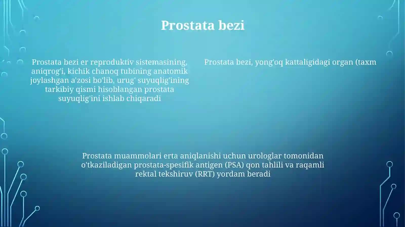 Erkaklarjinsiytizimi 4
