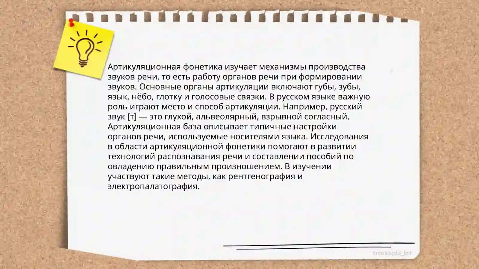 Фонетика и фонология 4
