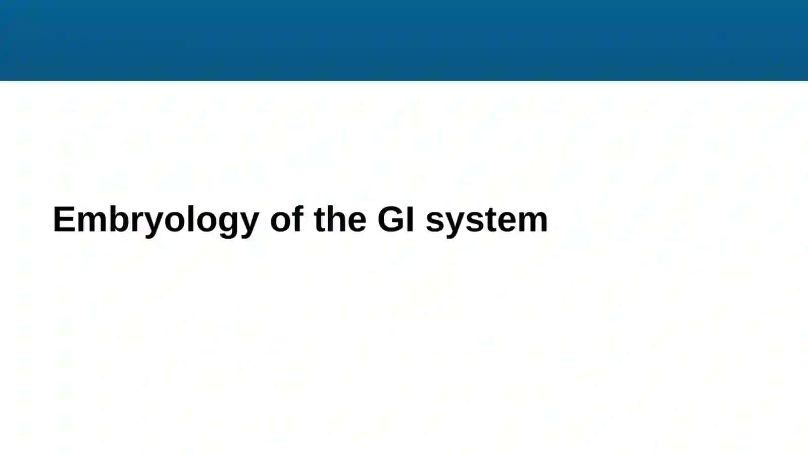 Gastrointestinal System Lesson 7 4