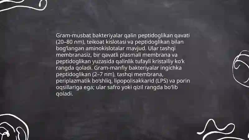 Bakteriyalarning morfologiyasi 4