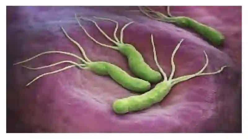 Mikrobiologiya 4