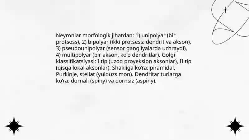 Nerv to'qimasi 4