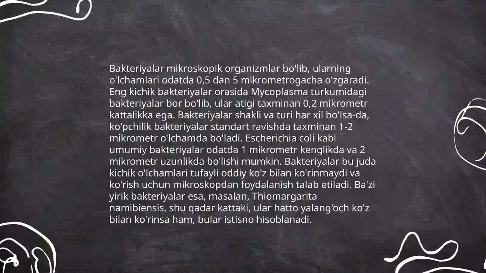 Bakteriyalar morfologiyasi 4