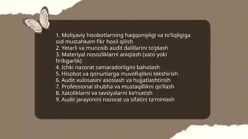 Auditirlik Dalillari va Ular Turlari 4