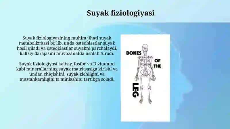 Oyoq suyaklari 4
