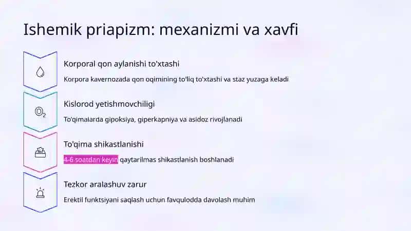 Priapizm: Turlari, Sabablari va Davolash Usullari 4