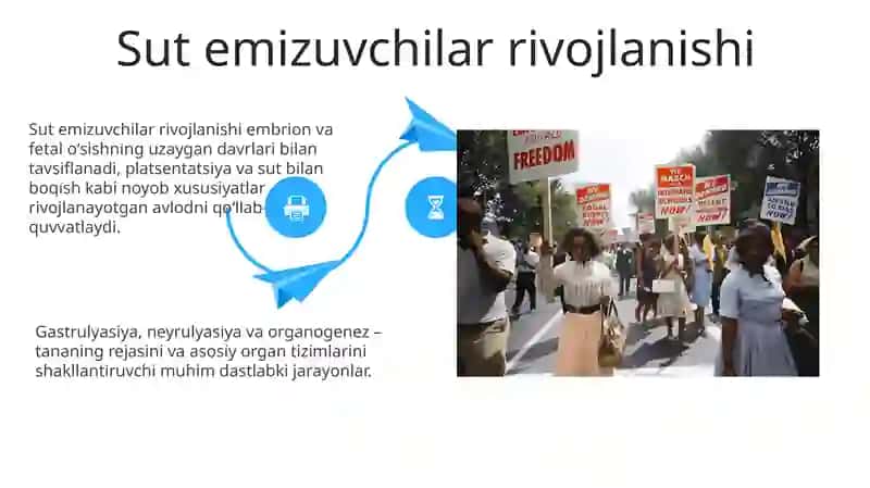 Embryonning rivojlanish tarixi 4